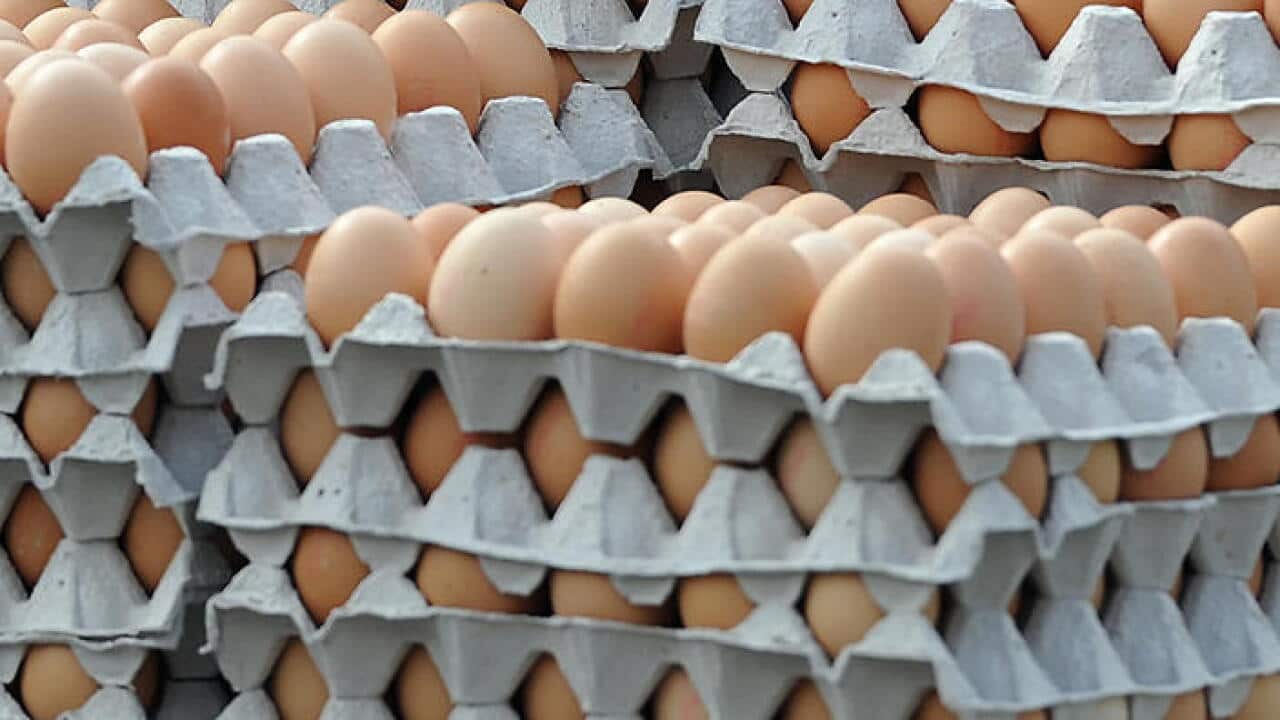 Fresh eggs are sold for 5,50 CZK at Zelny trh (Grocery market) in Brno, Czech Republic, March 9, 2012. Photo/Igor Sefr (CTK via AP Images)