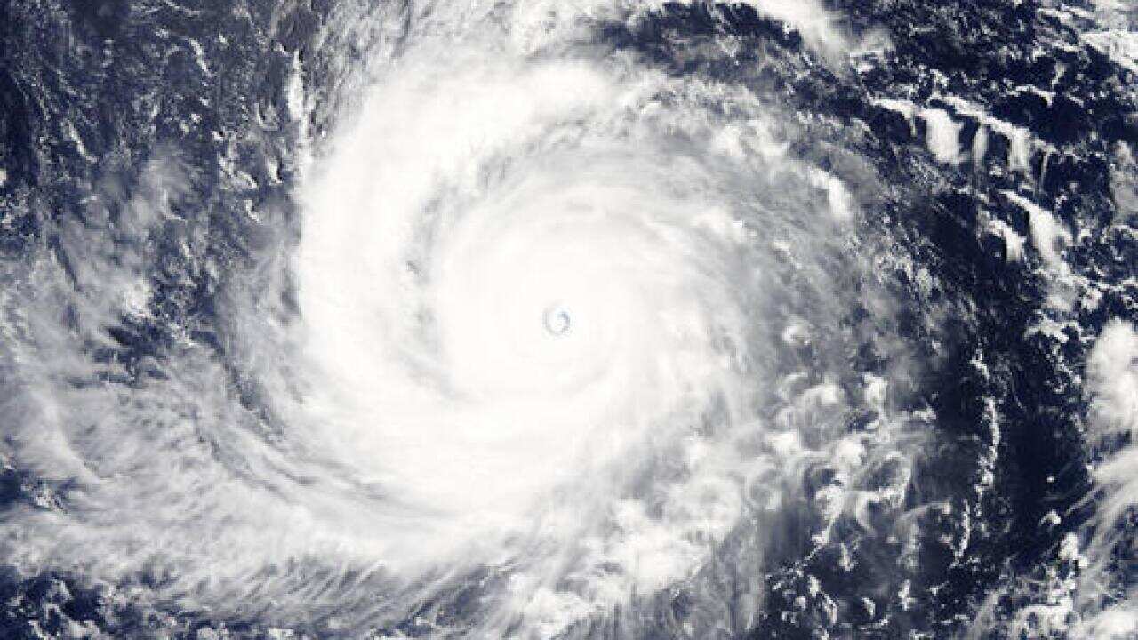 TYPHOON