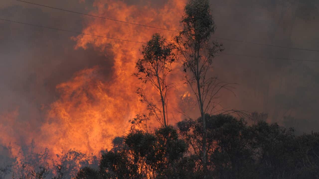 A bushfire jumps the Bells Line Road north of Lithgow