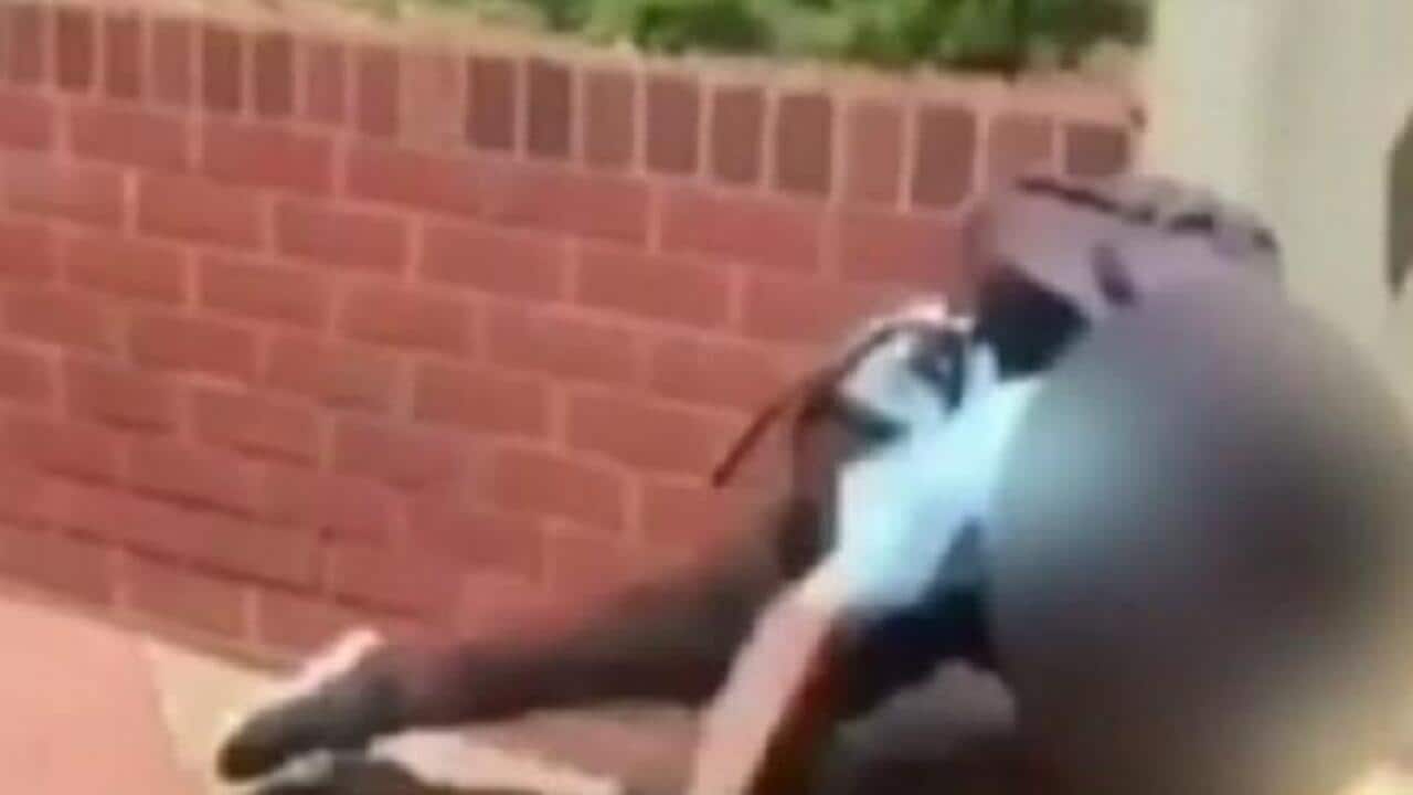 A child punches a Year 7 student in the face and knocks him out cold outside a school.