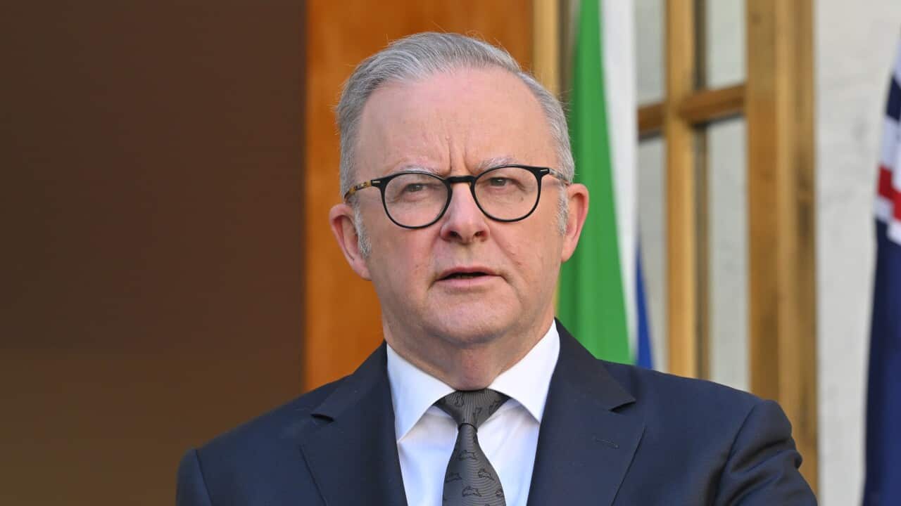 ANTHONY ALBANESE PRESSER