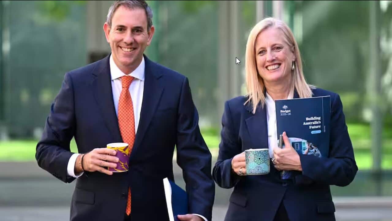 Federal Treasurer Jim Chalmers (AAP Image/Russell Freeman)