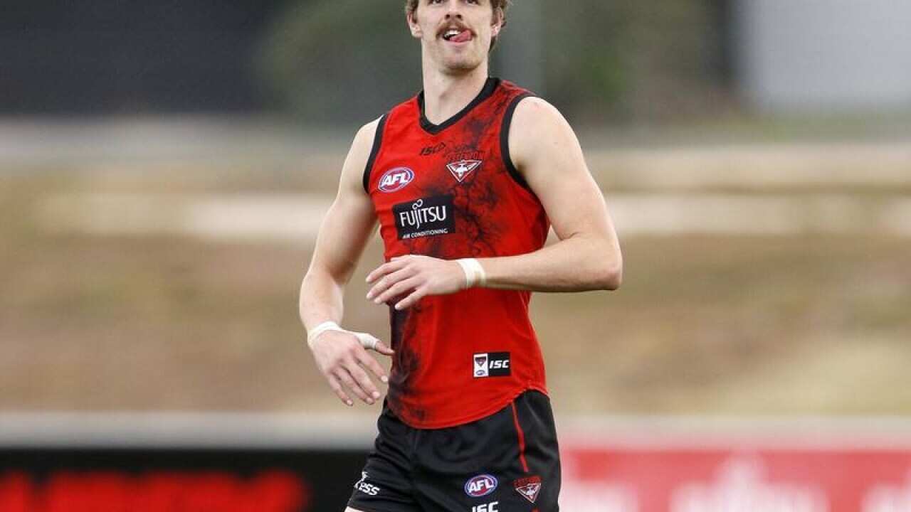 Joe Daniher