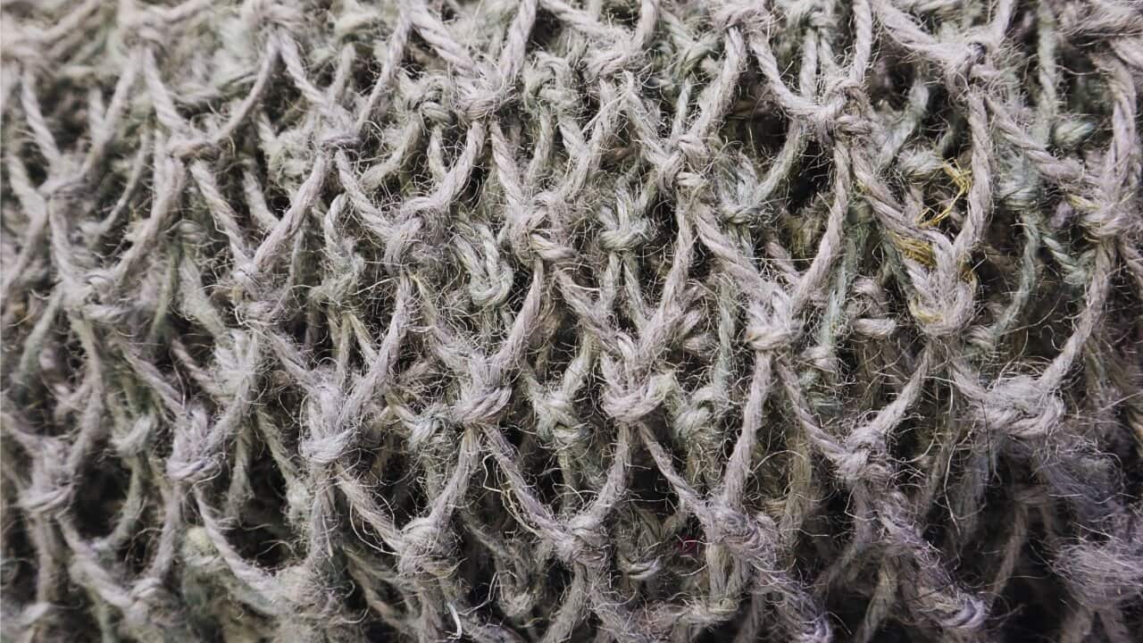 The Reflection Net 2024 (detail). Jute, feathers, florist tape and wire. By artist Glenda Nicolls