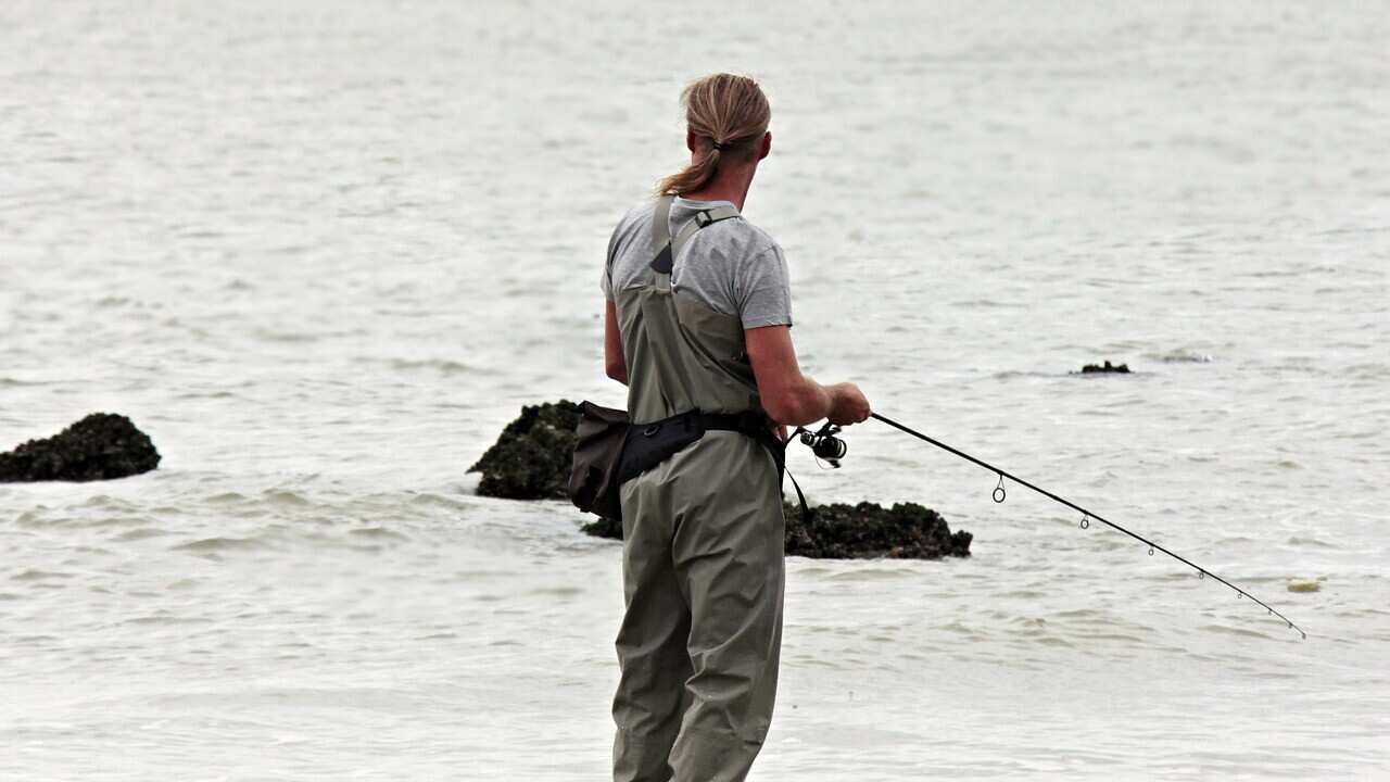 Fishing - Pixabay
