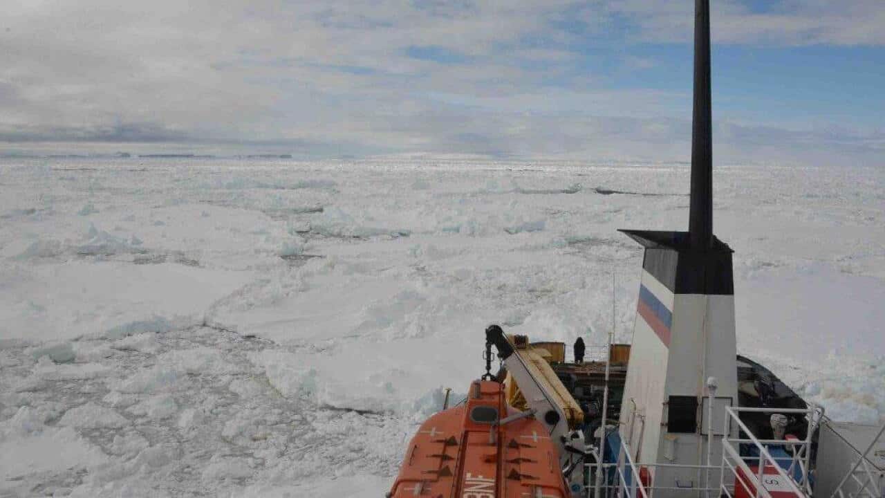 The MV Akademik Shokalskiy cruise ship wedged in thick sheets of sea ice - AAP.jpg