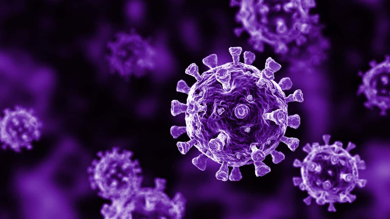 Image for read more article 'RELATED CONTENT'