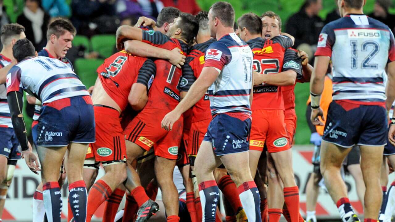 The Stormers celebrate a late try against the Rebels