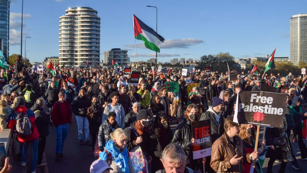 Hundreds of thousands of people march for Palestine in London, UK - 11 Nov 2023