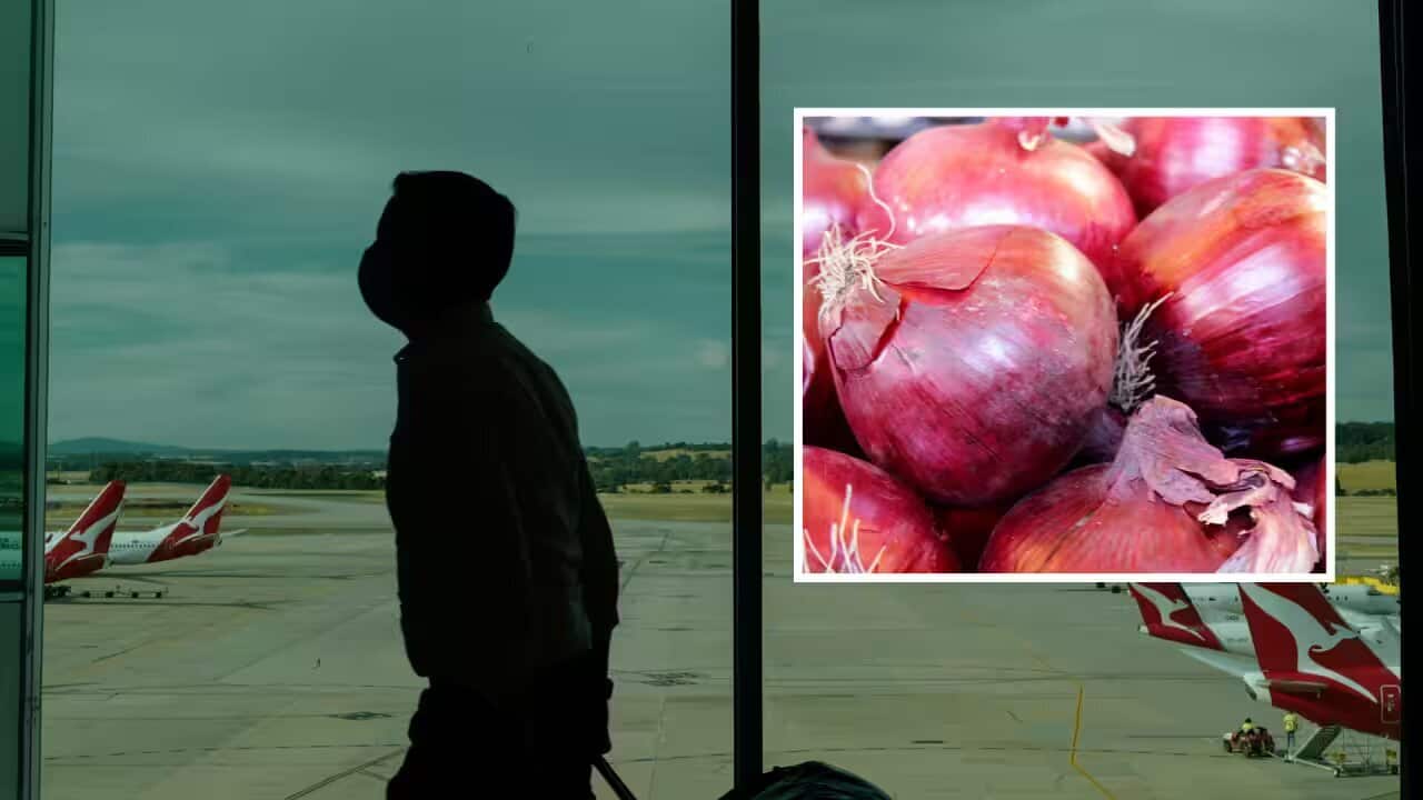 An international traveller arrives in Australia_avif.jpg