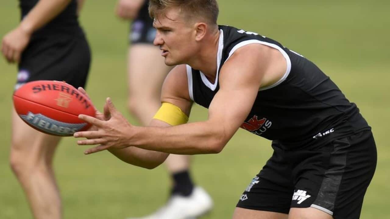 AFL POWER TRAINING WINES