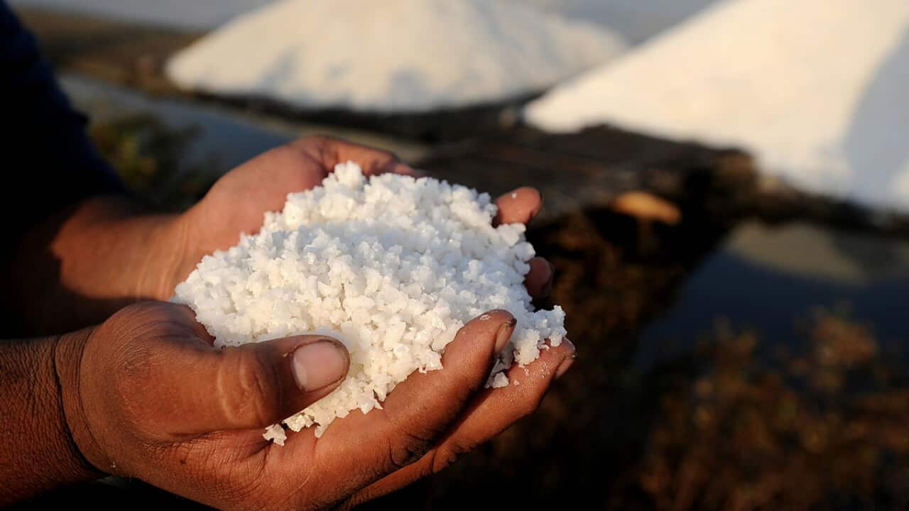 Rotten Salt Kitchen Science: A salt on the senses | SBS Food