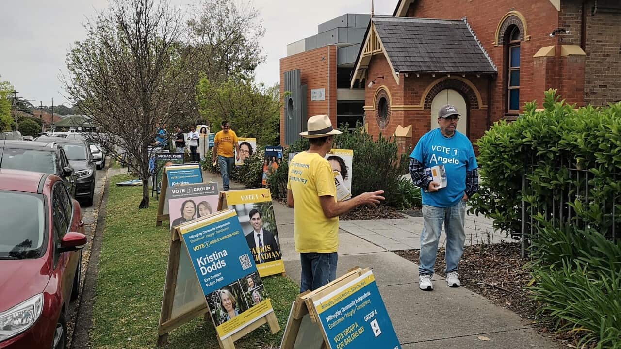 Council elections open.jpg