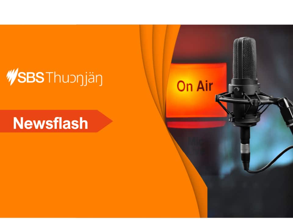 DINKA NEWS FLASH