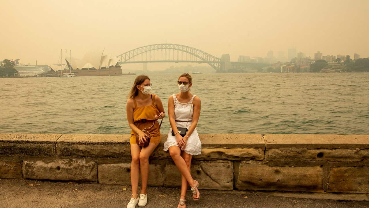 Sydney has choked through weeks of haze and bushfire smoke.