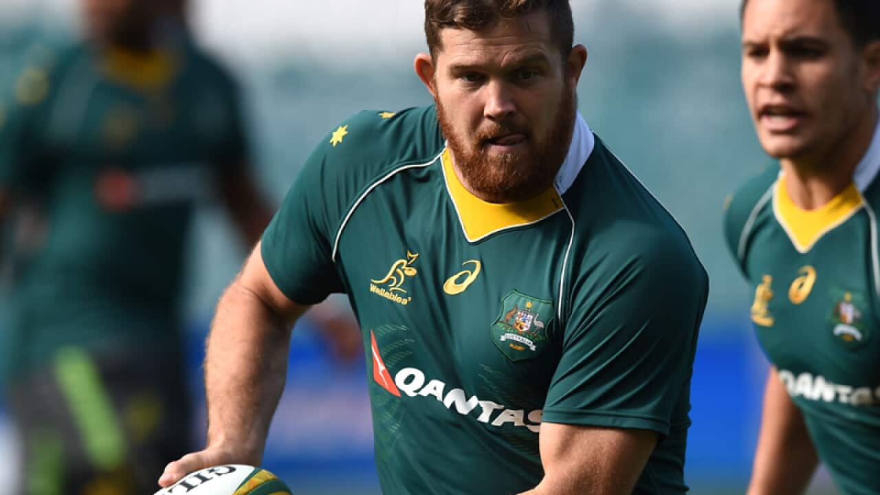 Wallabies player Greg Holmes
