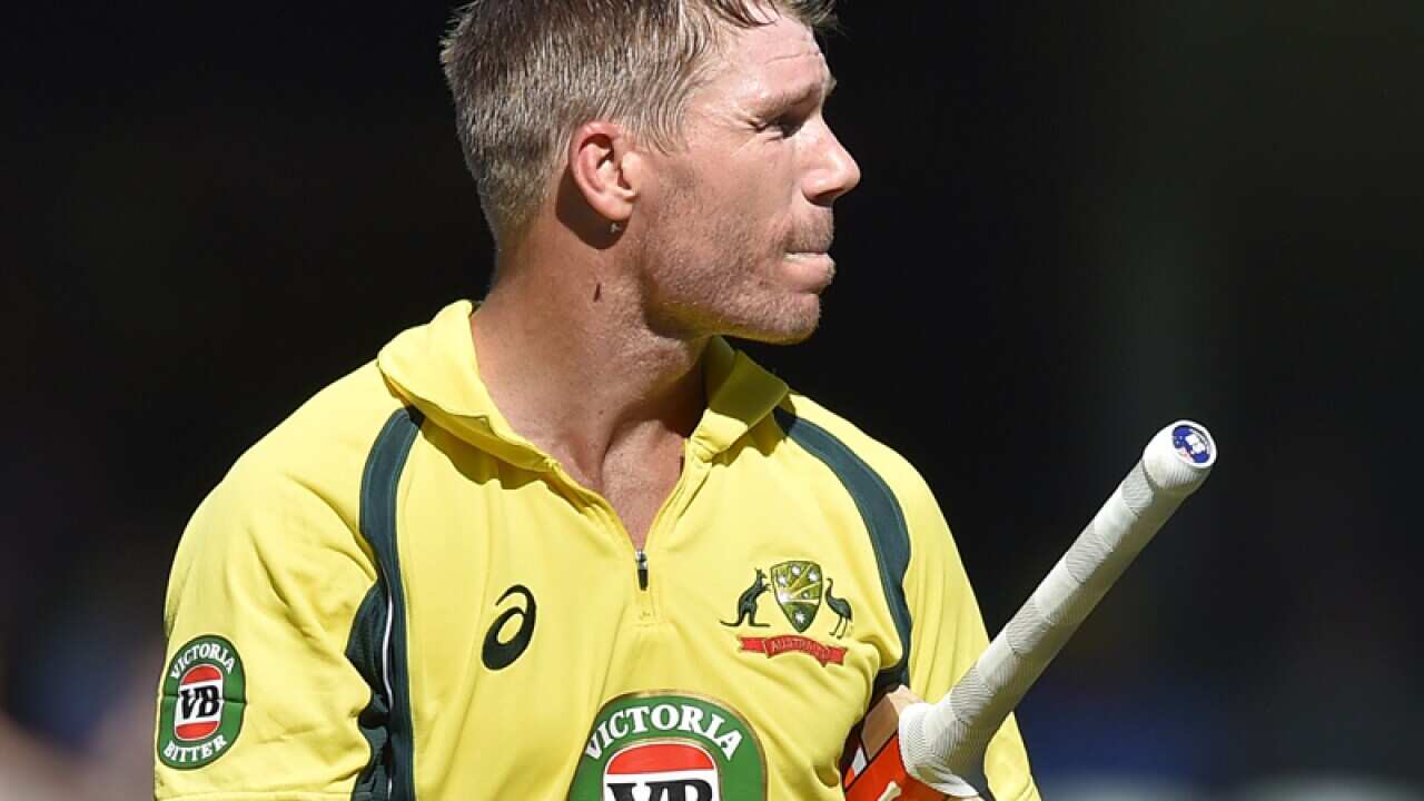 David Warner of Australia