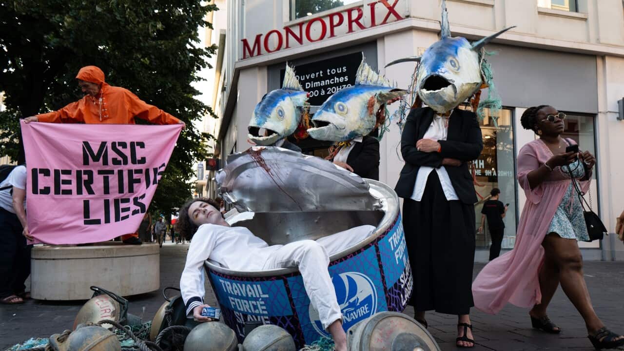 Tuna Protest Staged in Nice