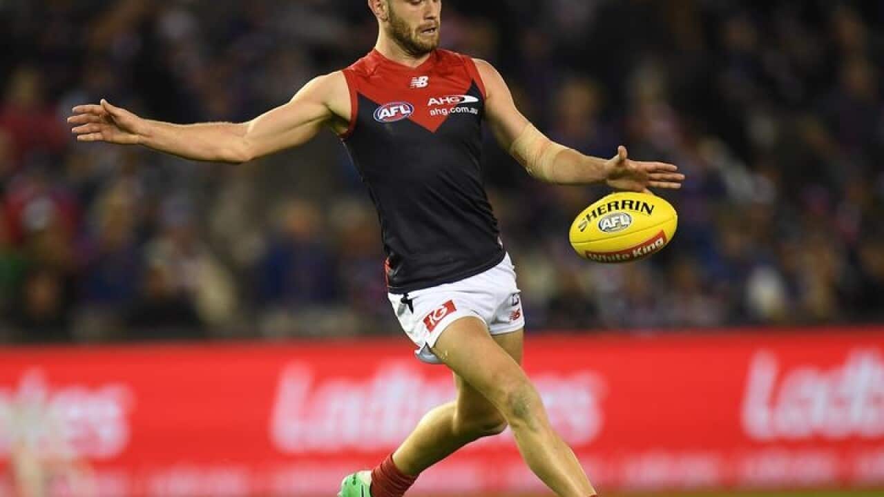 AFL BULLDOGS DEMONS BUGG