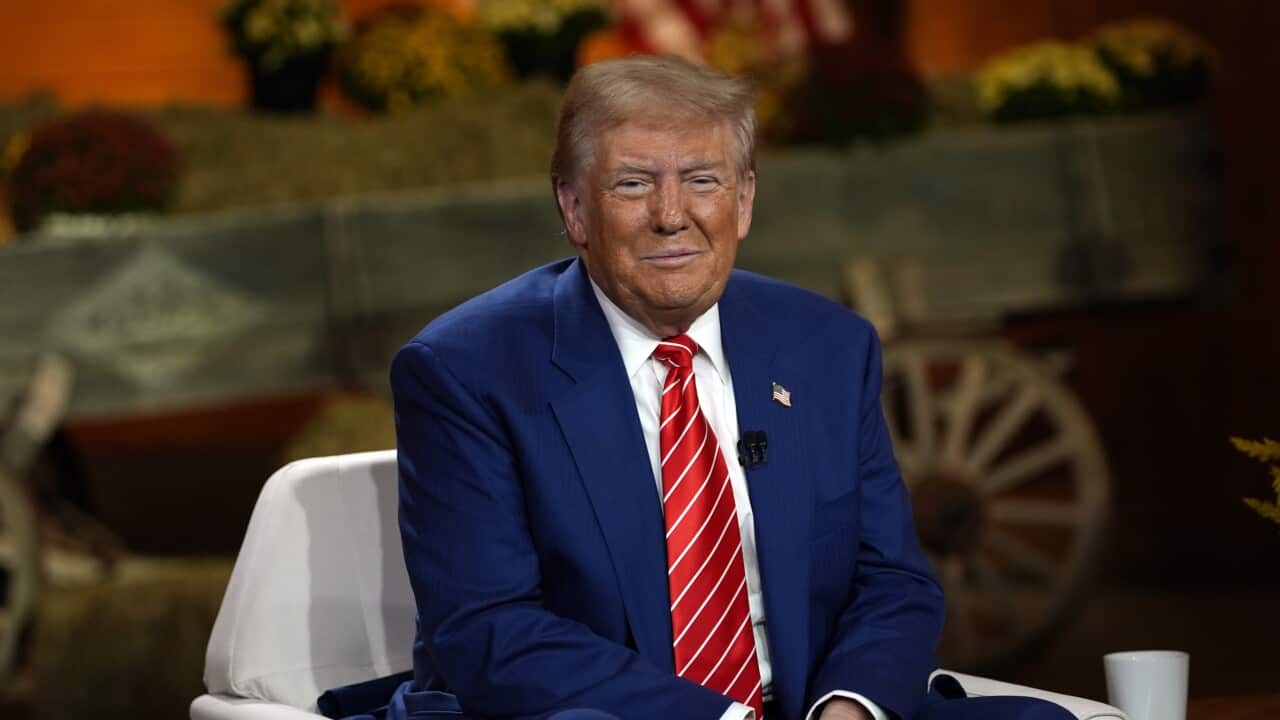 Image for read more article 'Mira también:'