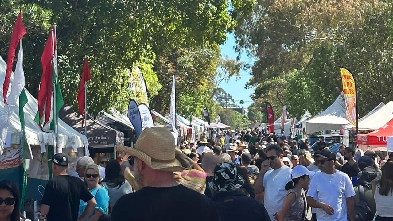 italian festa sbs.jpg