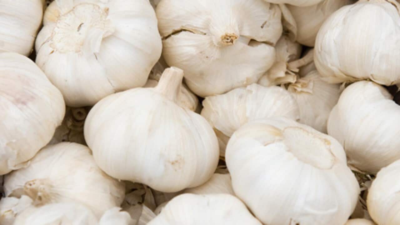 garlic_generic_100816_b_getty_708645457