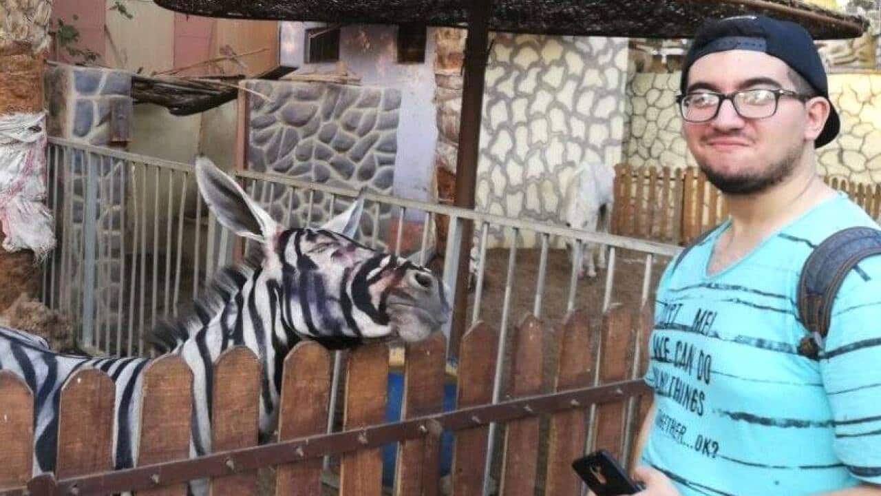 Mahmoud Sarhan at the Cairo International Park.