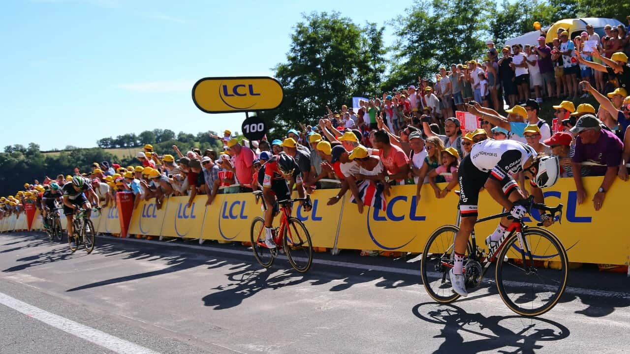 Michaeal Matthews, Sunweb, Tour de France 2017