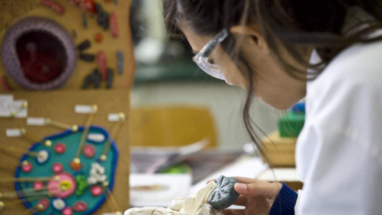 A student in a science lesson - Getty
