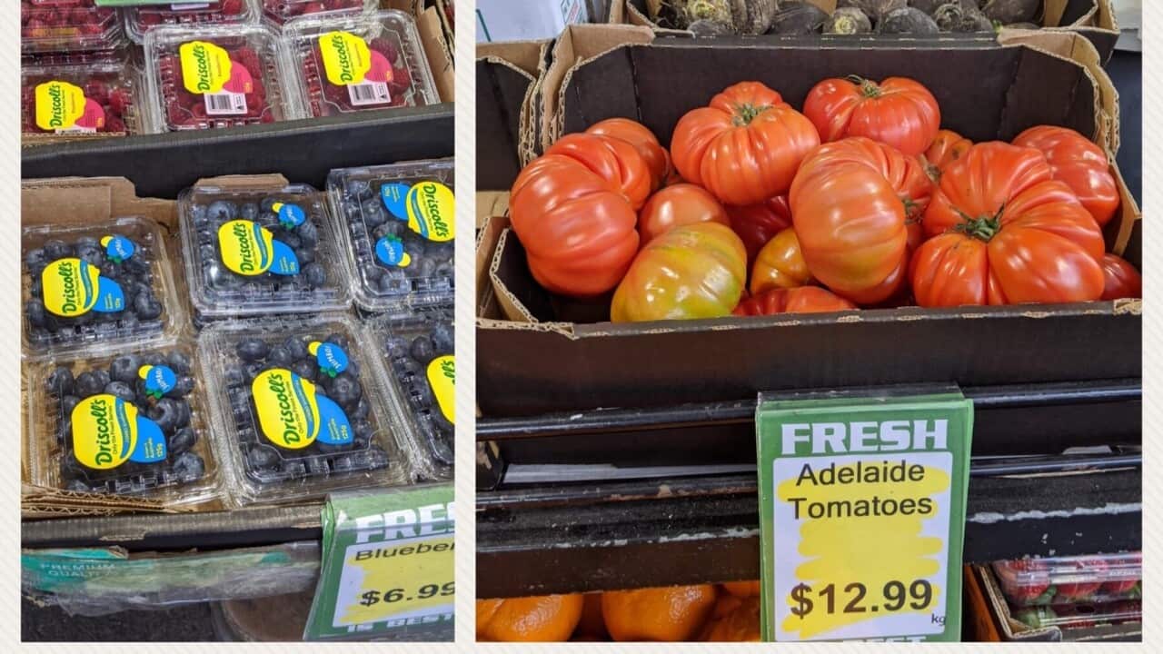 fruit and vegetables prices are expected to rise due to limited labour available for harvesting.