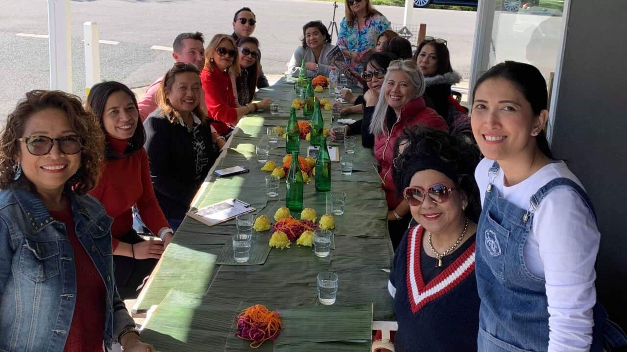 Salo series in Brisbane