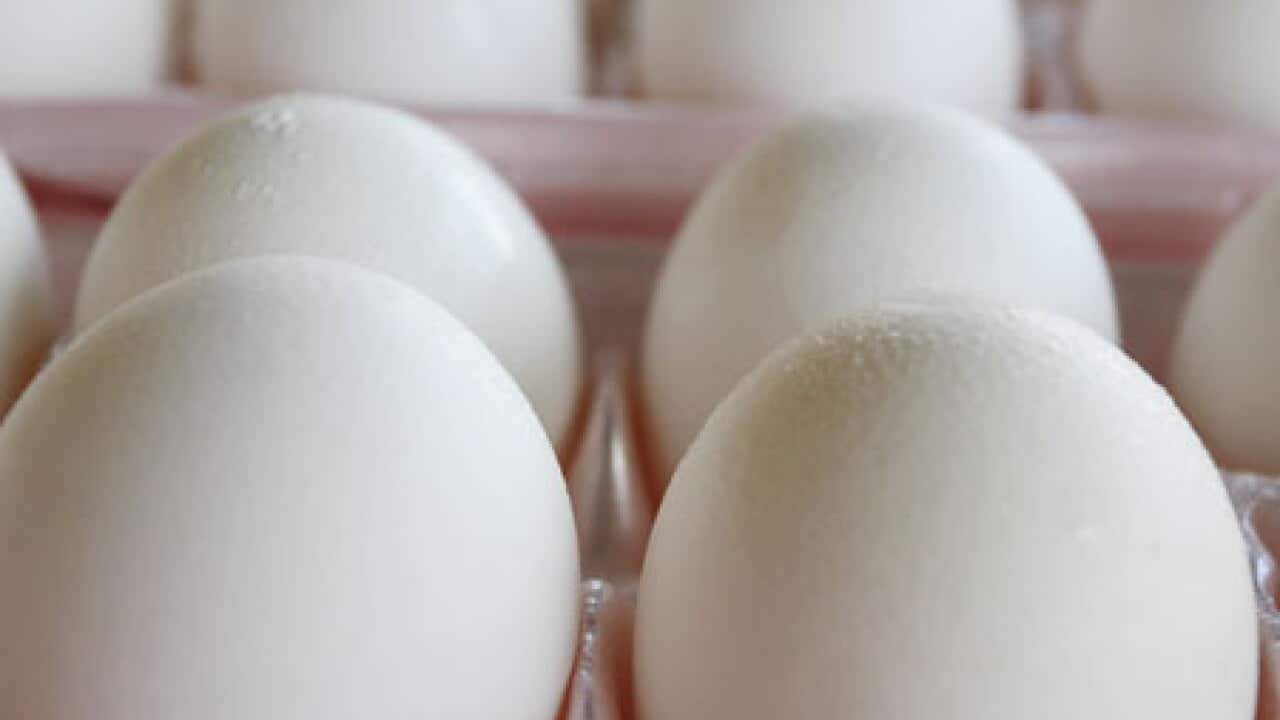 eggs_100824_L_getty_1960078215