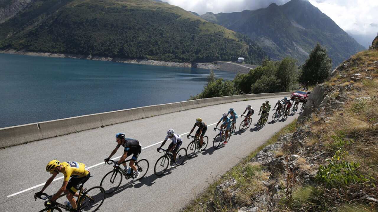 Cyclists compete in the Tour de France