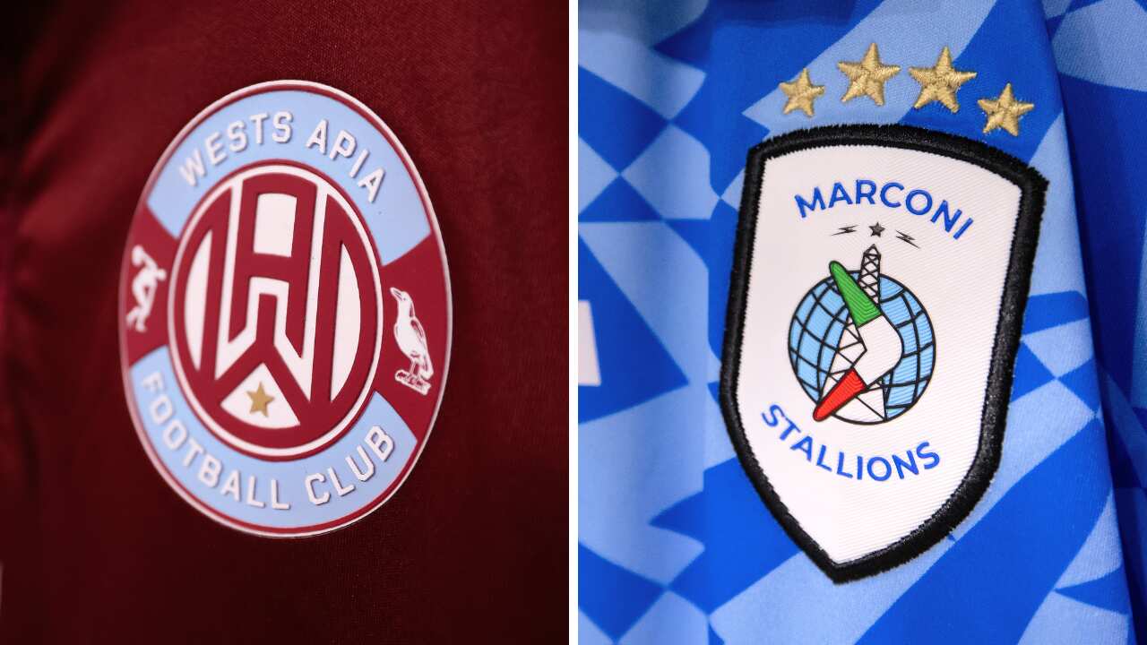 Untitled design (8).png