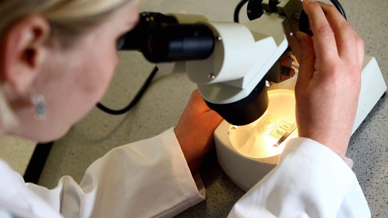 Image for read more article ''