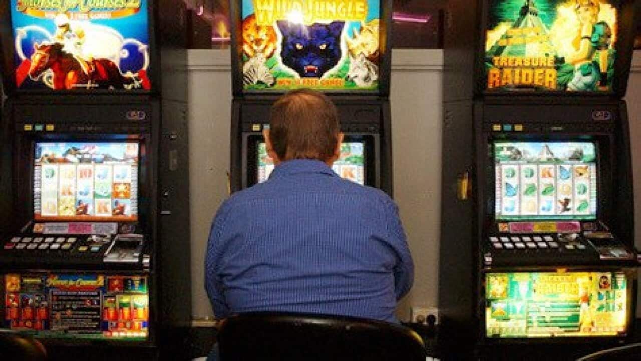 A punter playing the poker machines