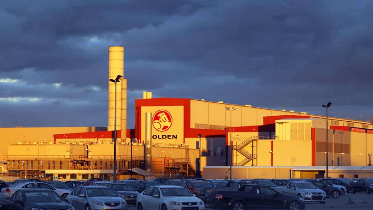 Completed Commodores wait for delivery in South Australia.