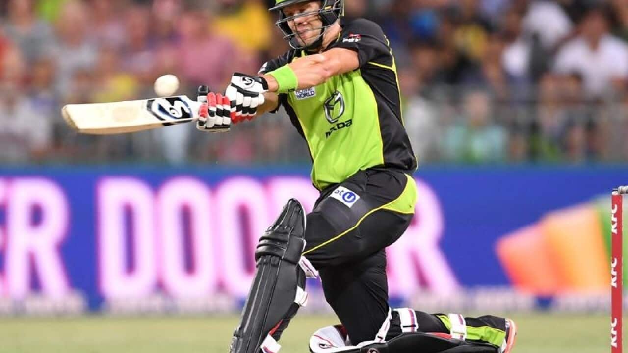 Shane Watson
