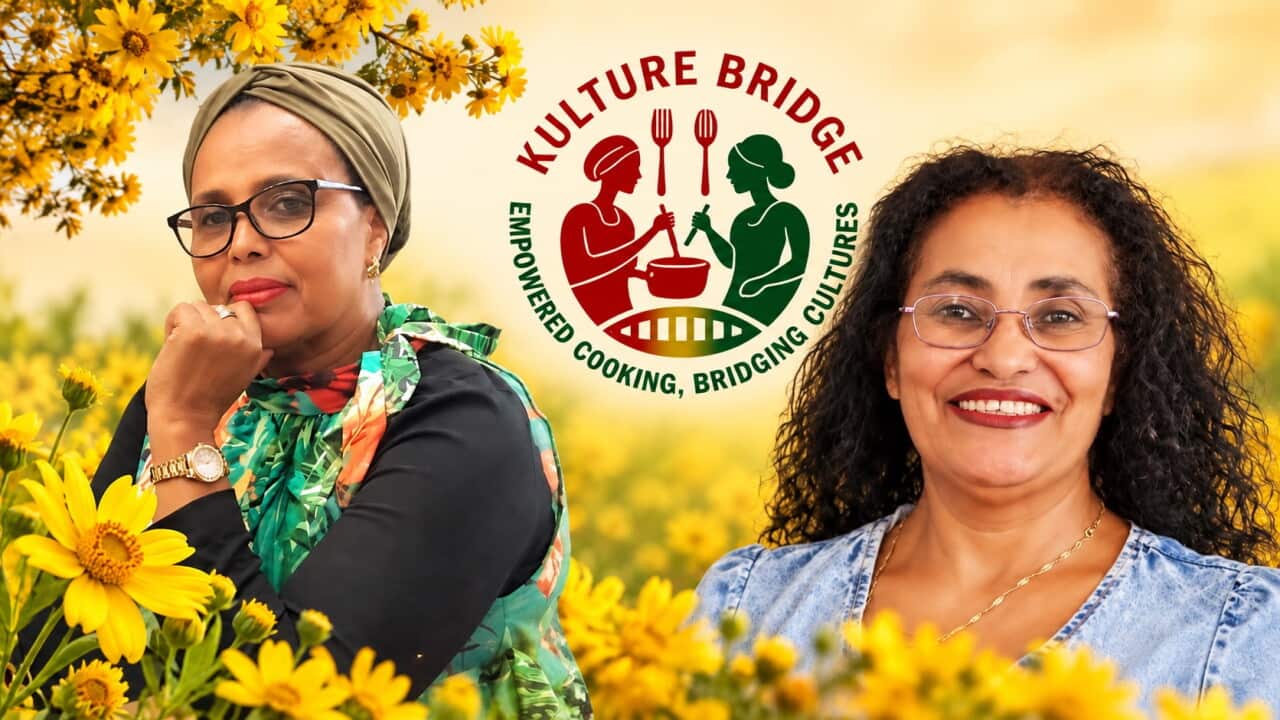 Kulture Bridge.jpg