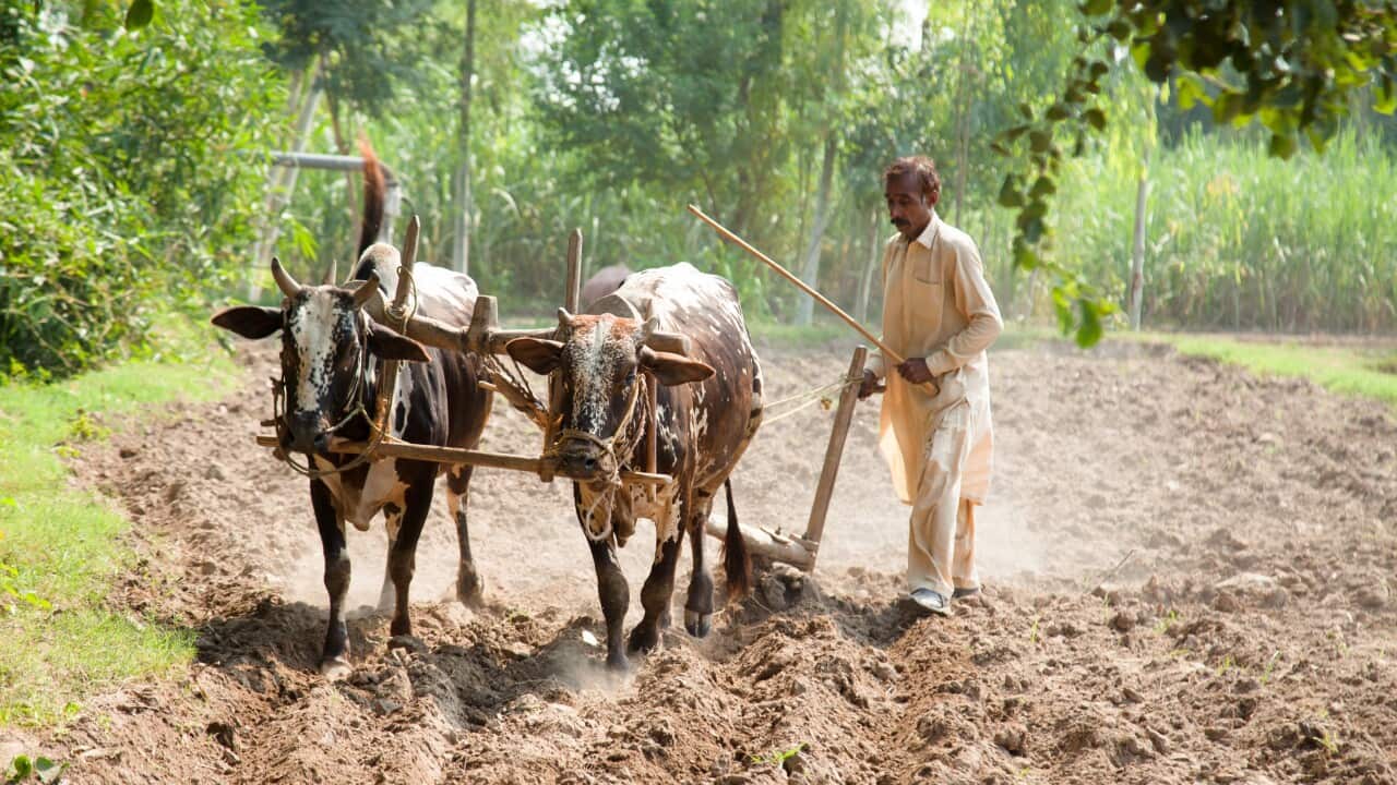 Image for read more article 'READ MORE'