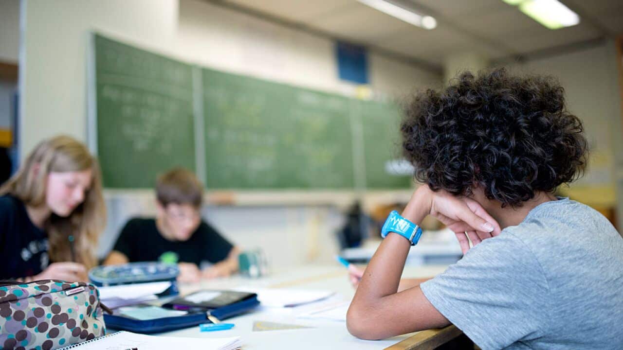 Students Of A German Comprehensive School