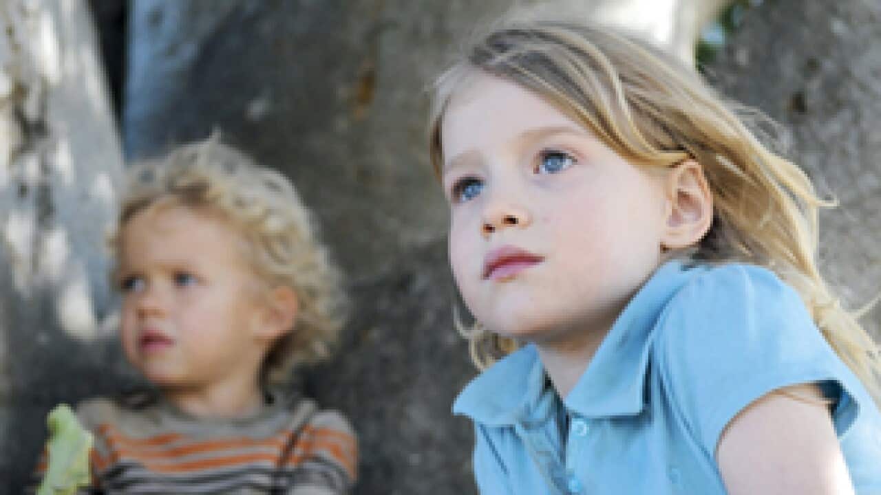 The-Tree_301_blog_1245383709