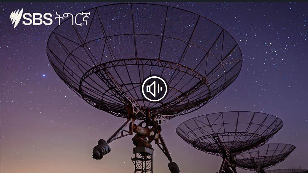 Homeland Report (27/01/2022)