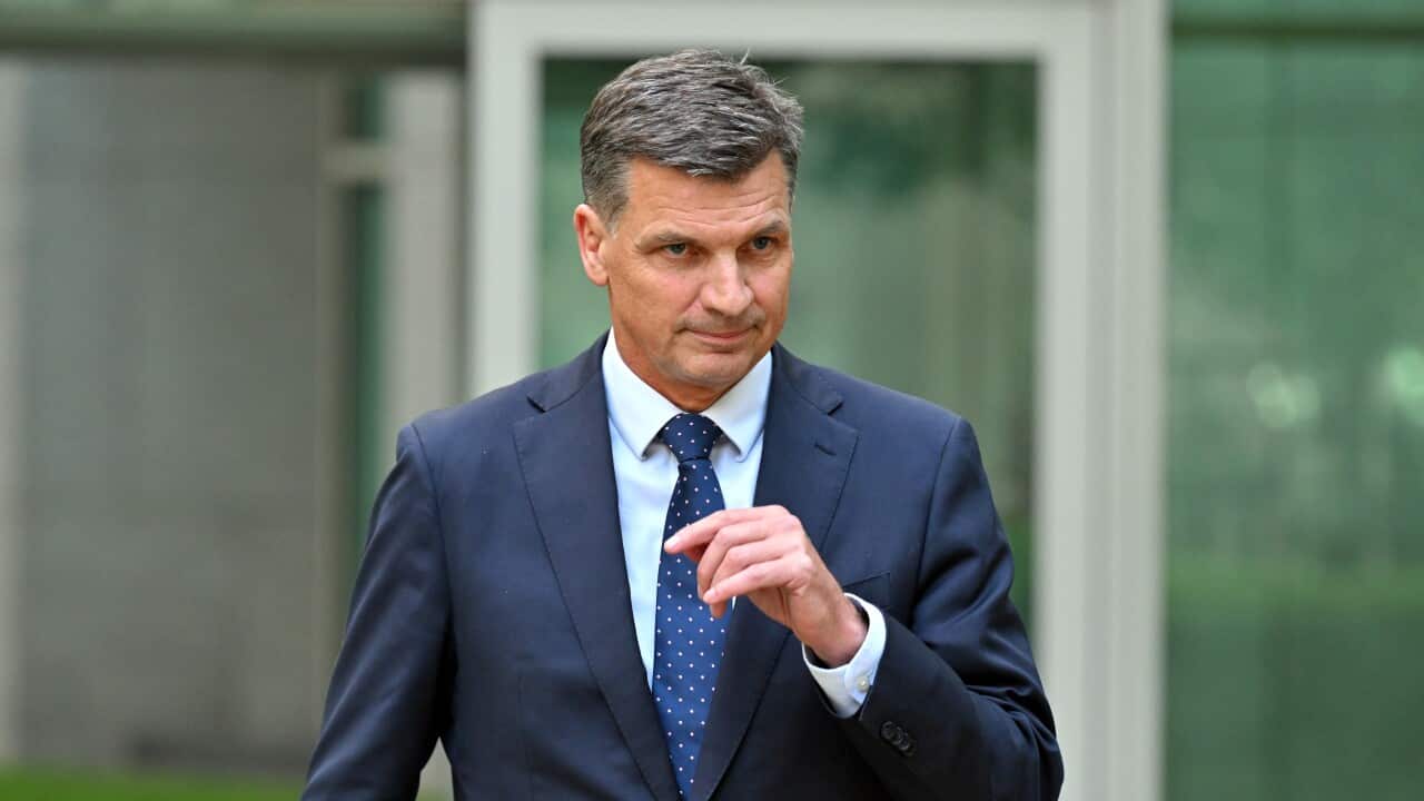 Image for read more article 'READ MORE'