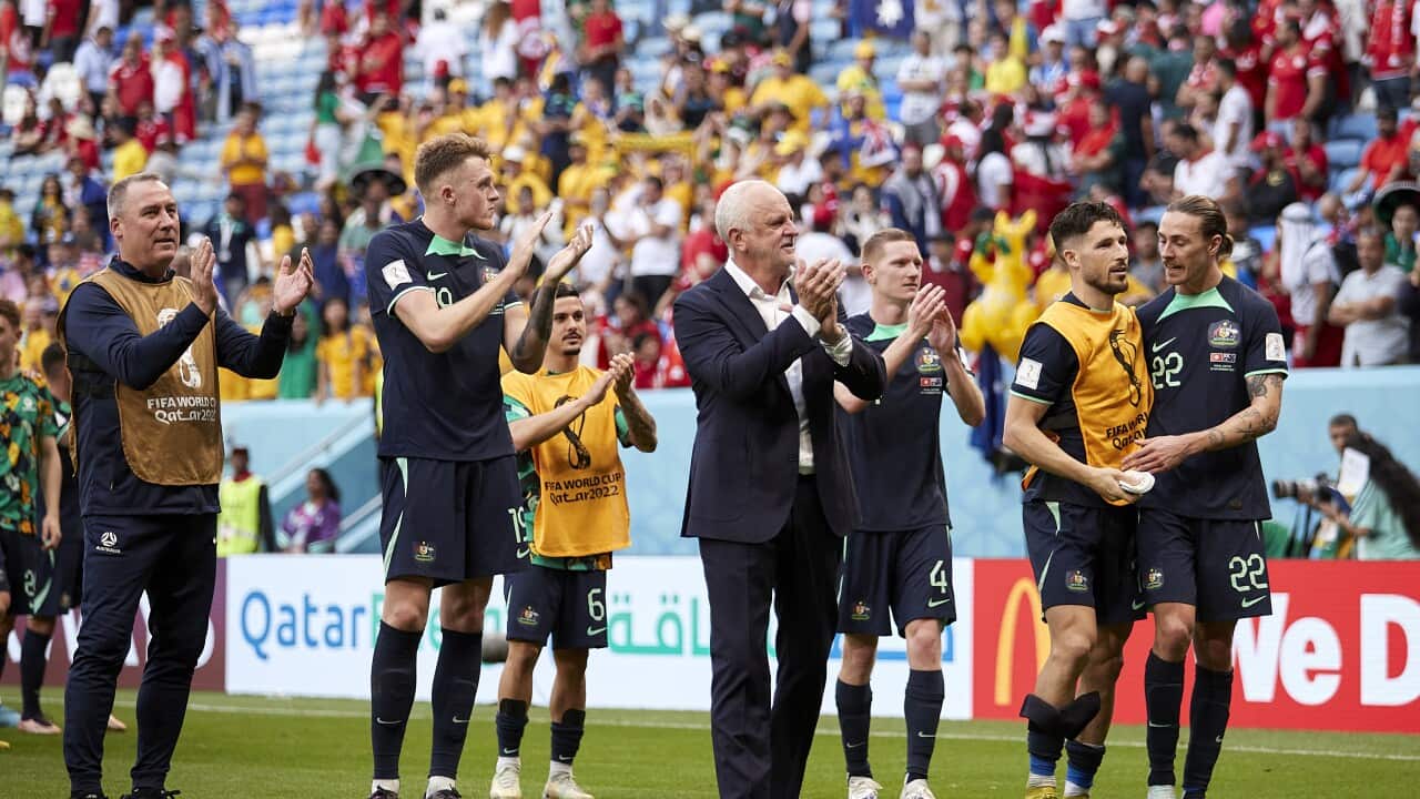 Tunisia v Australia: Group D - FIFA World Cup Qatar 2022