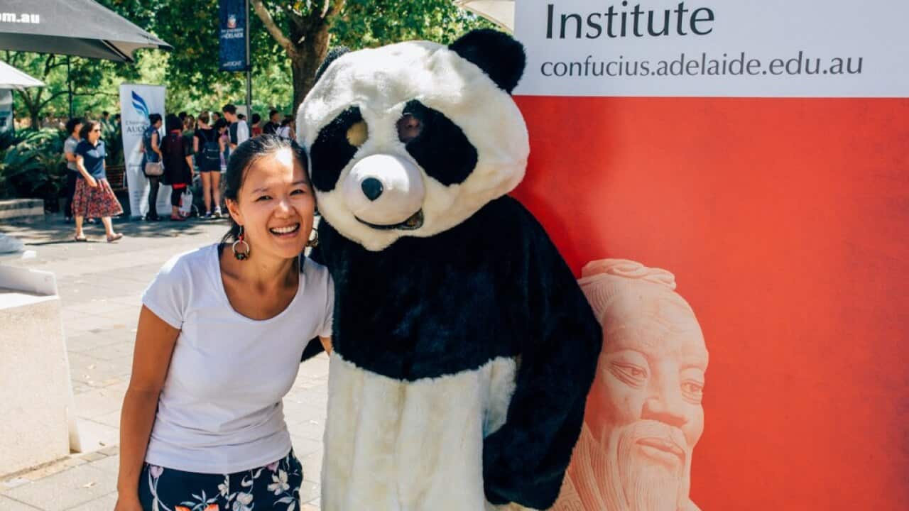 Image for read more article 'READ MORE'