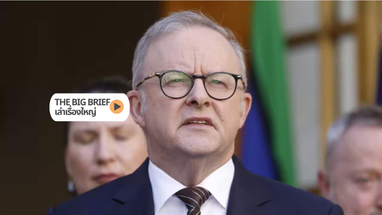The Big Brief HEADER (3).png