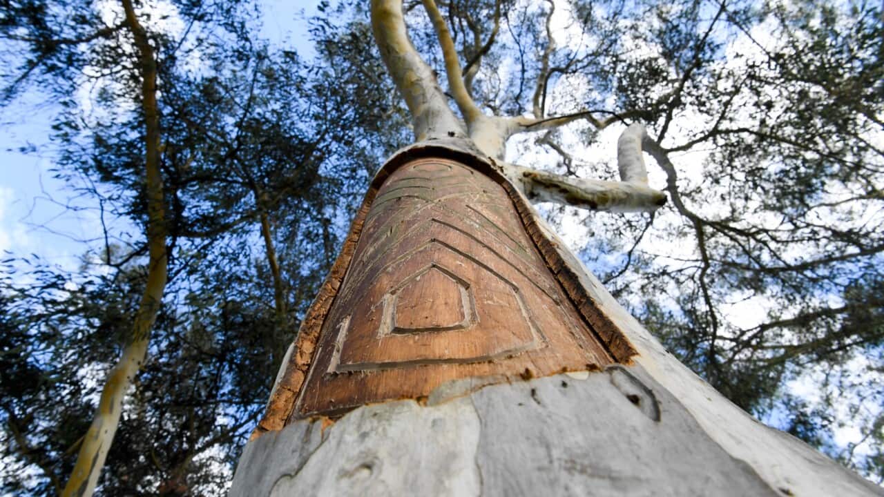 Image for read more article 'Potrebbe interessarvi anche'