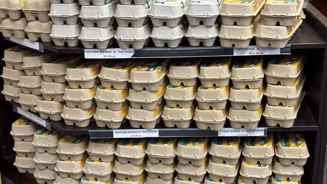 A pile of egg cartons stacked on top of each other.