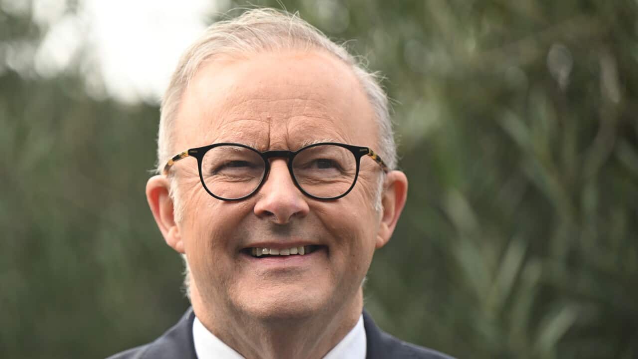 Anthony Albanese smiling wearing a grey suit and black glasses